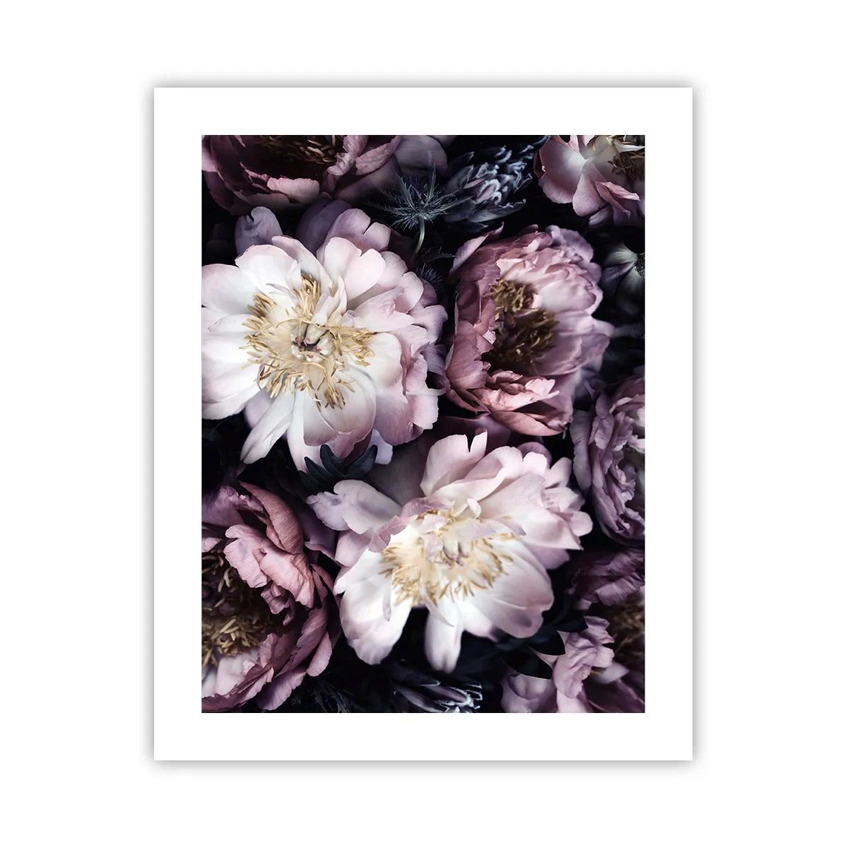 Pôster - Bouquet à moda antiga - 40x50 cm