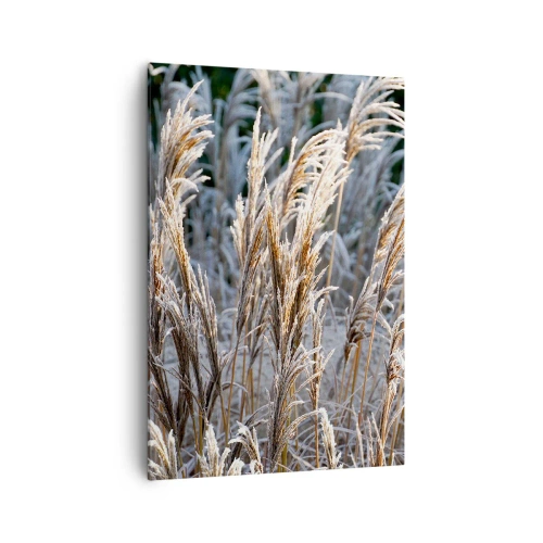 Quadro em tela - Decorado com a geada - 70x100 cm