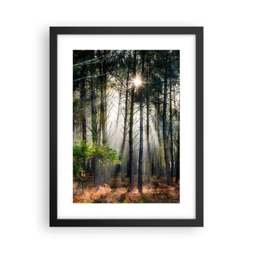 Pôster com moldura preta - Uma área florestal - 30x40 cm