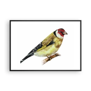 Pôster com moldura preta - Retrato de um pássaro - 100x70 cm