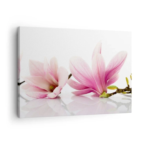 Quadro em tela - Magnólias rosa delicadas sobre fundo branco - 70x50cm - Suave como um sopro de primavera - Decoração de parede moderna para a sala de estar e quarto ARTTOR