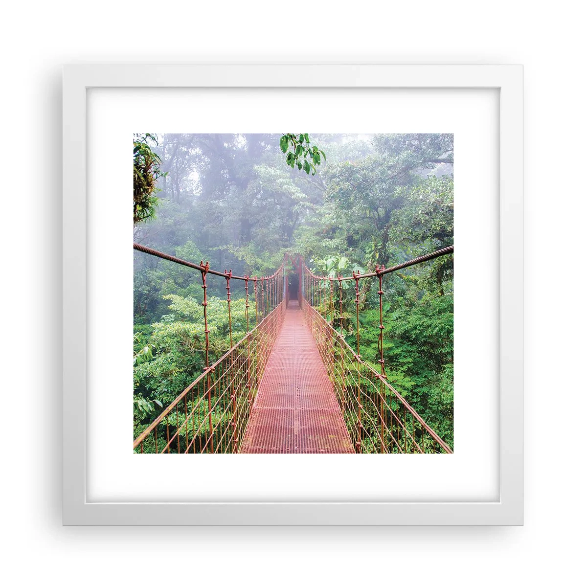 Pôster em moldura branca - Suspenso acima das copas - 30x30 cm