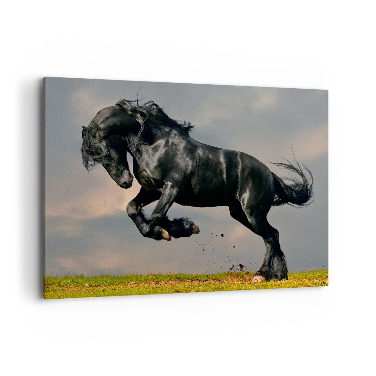 Quadro em tela - Bonito e lento - 100x70 cm