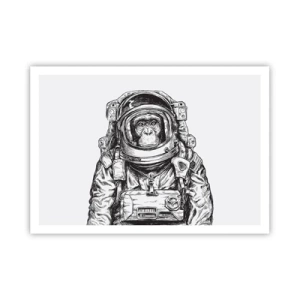 Pôster - Evolução alternativa - 100x70 cm