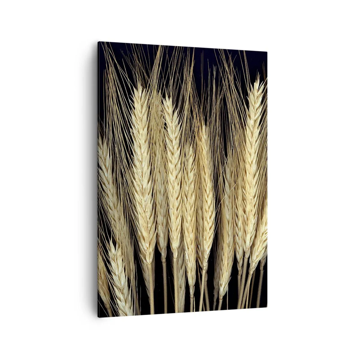 Quadro em tela - Magia rústica - 70x100 cm