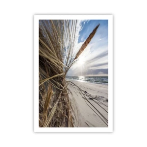 Pôster - Reunião dos rlementos da natureza - 61x91 cm