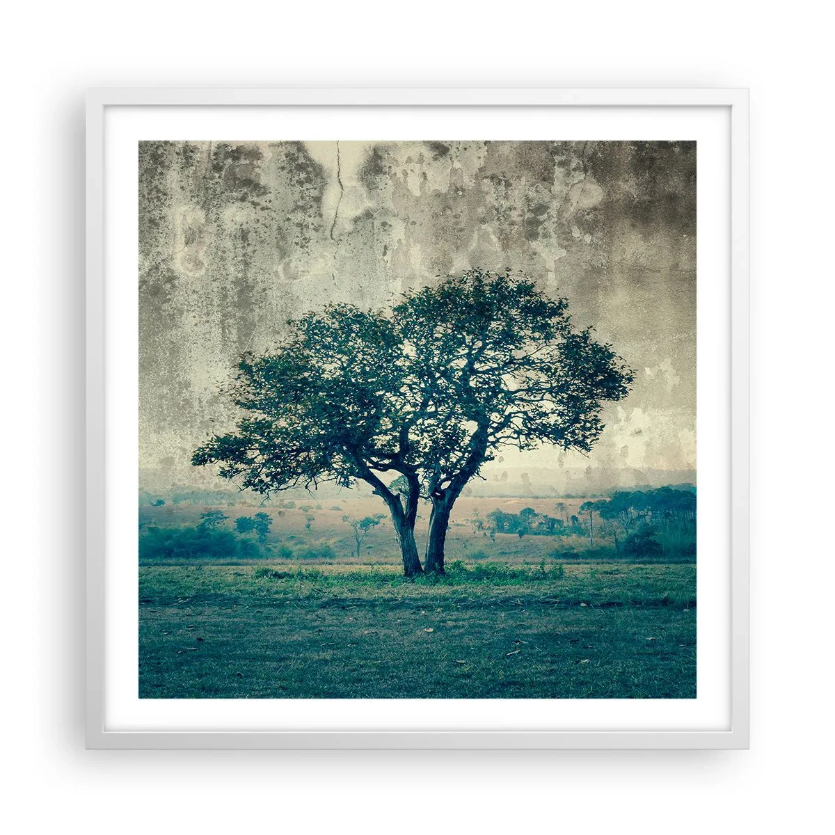 Pôster em moldura branca - Uma macieira num prado azul? - 60x60 cm