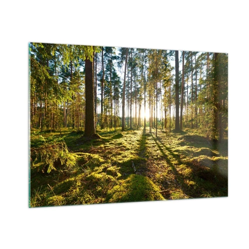Quadro em vidro - ...Além das sete florestas - 100x70 cm