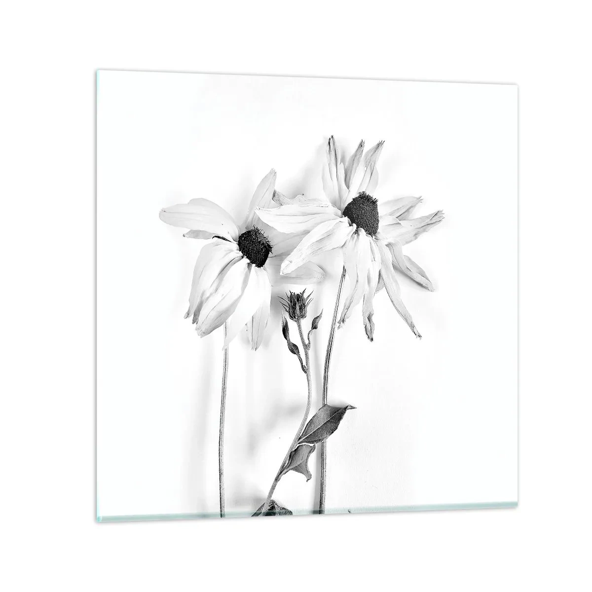 Quadro em vidro - Ninguém quer estar sozinho - 40x40 cm