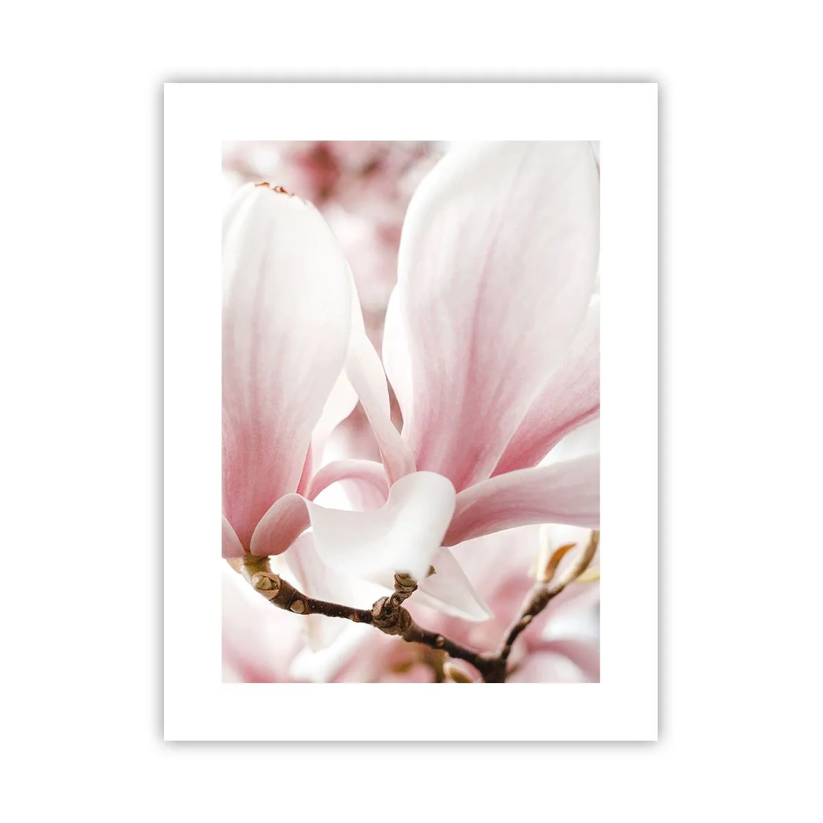 Pôster - Sensibilidade infinita - 30x40 cm