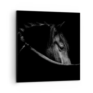 Quadro em tela - Príncipe Negro - 60x60 cm