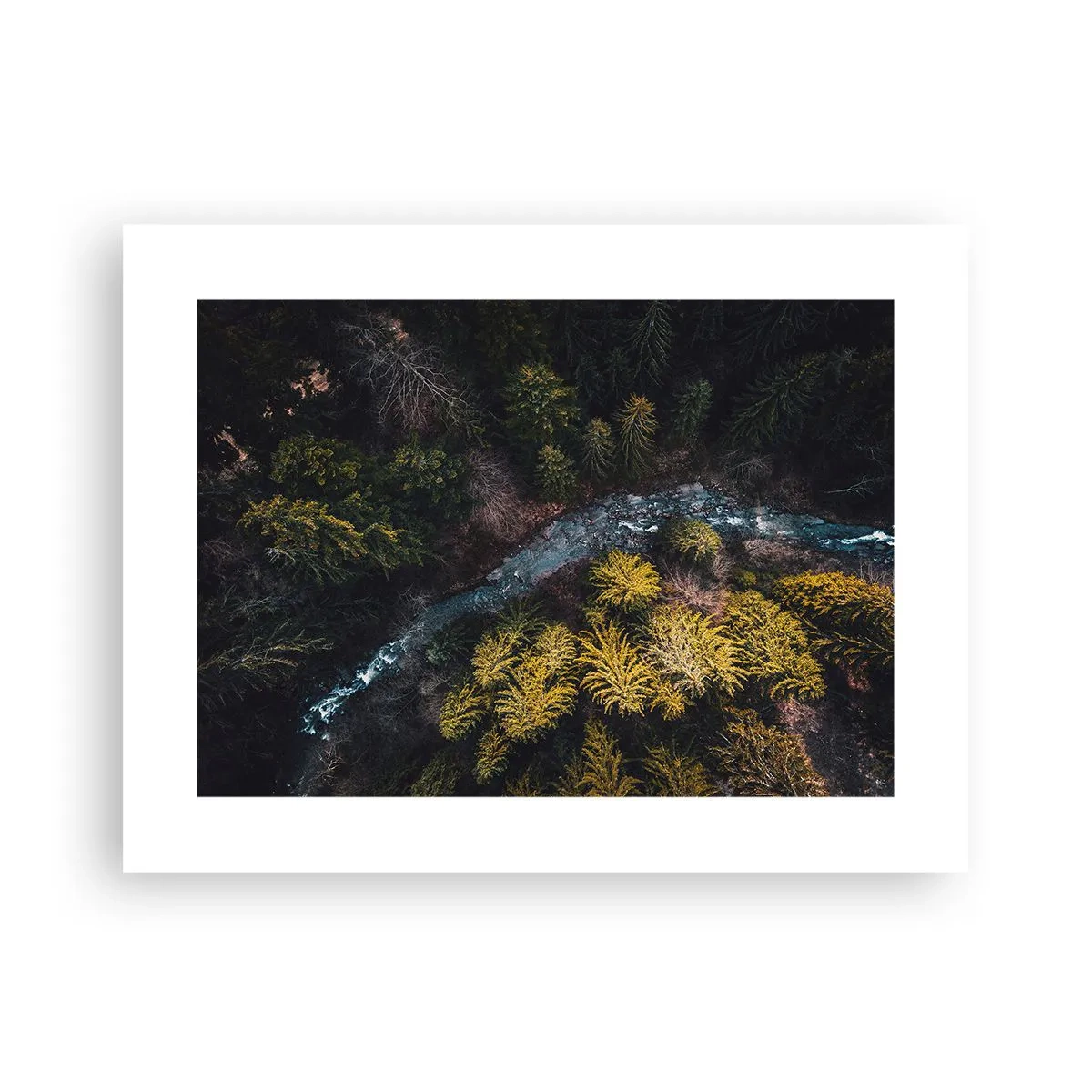 Pôster - Rápido e cada vez mais rápido - 40x30 cm