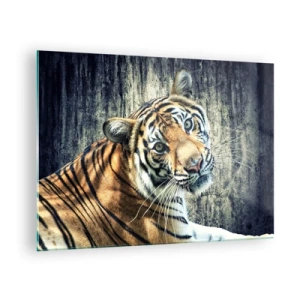 Quadro em vidro - Um tigre em pose natural contra uma parede crua - 70x50cm - Retrato em feixes de luz - Decoração de parede moderna para a sala de estar e quarto ARTTOR