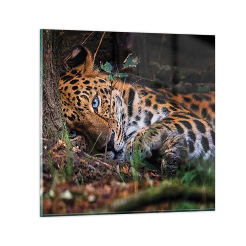 Quadro em vidro - Confie em mim - 50x50 cm