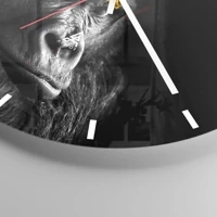 Mostrador com traços