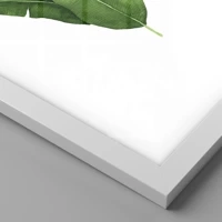 Branco