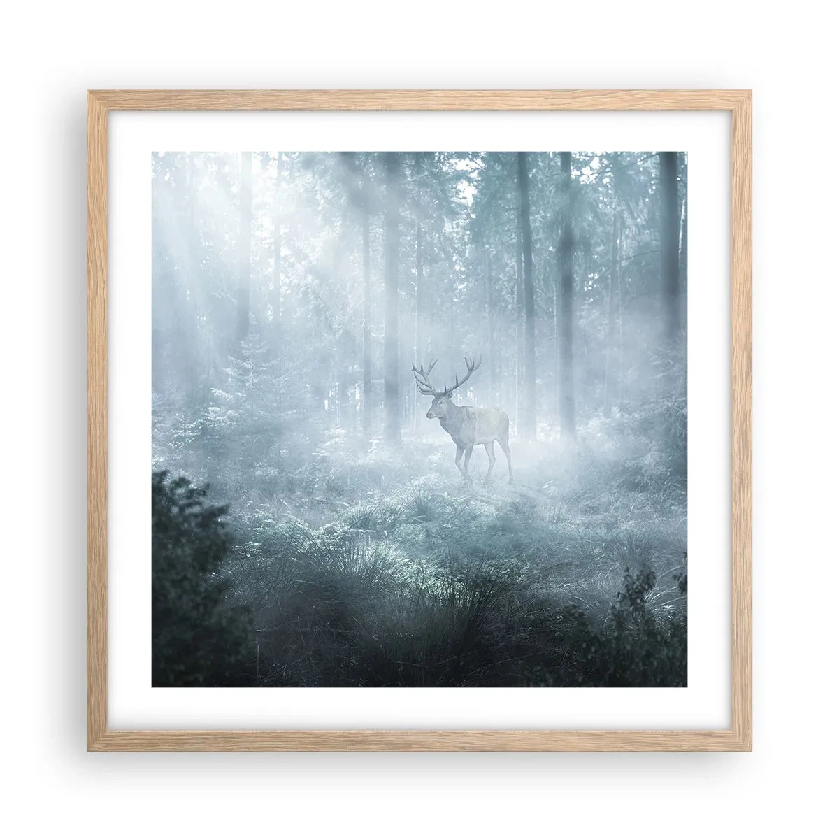 Pôster com moldura de carvalho claro - Passeio matinal à volta da propriedade - 50x50 cm