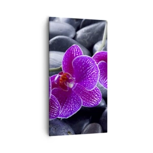 Quadro em tela - As pedras de iluminaram de deleite - 55x100 cm