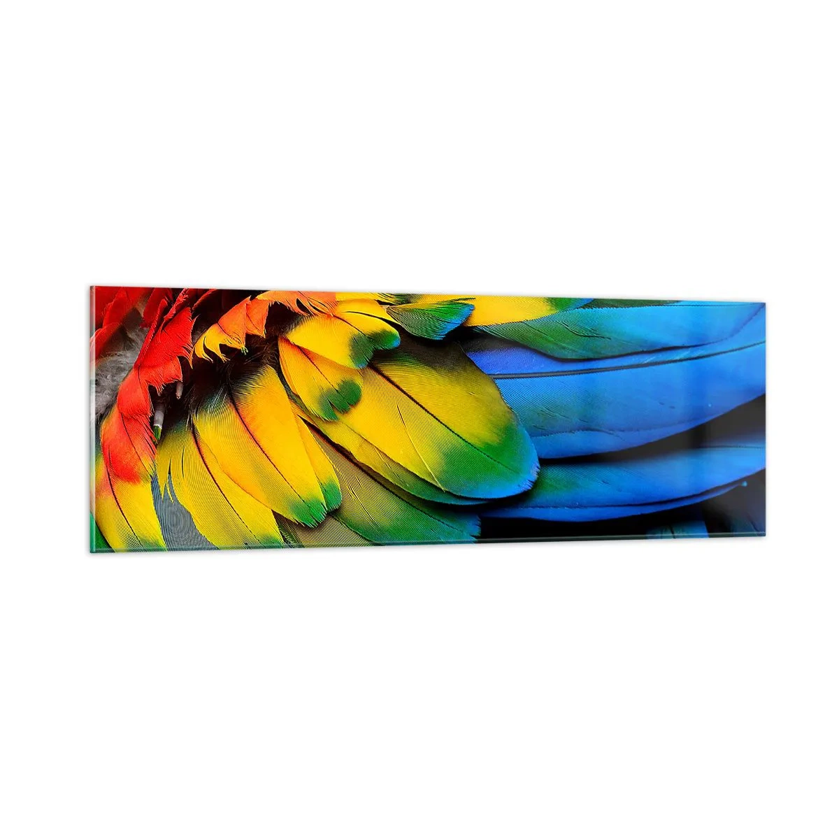 Quadro em vidro - Ave do paraíso - 90x30 cm