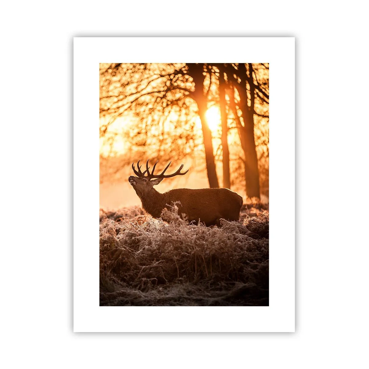 Pôster - O sonho do caçador - 30x40 cm