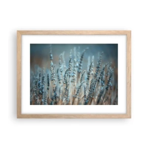 Pôster com moldura de carvalho claro - Prado perfumado - 40x30 cm