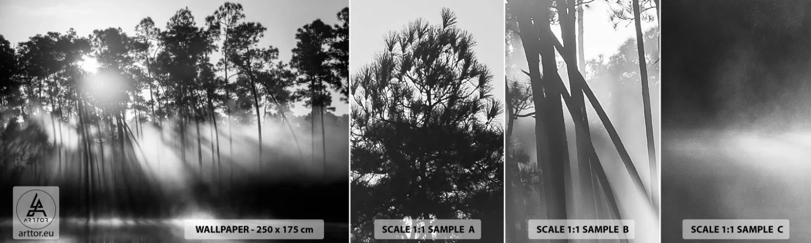 Amostra de Papel de Parede Standard Eco - O sol imparável - Paisagem, Floresta, Natureza - 100x30 cm