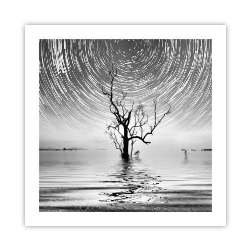 Pôster - Sinfonia da natureza - 50x50 cm