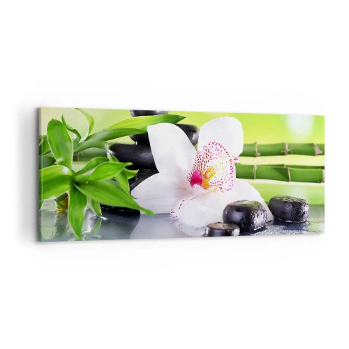 Quadro em tela - Frescor e vigor - 100x40 cm