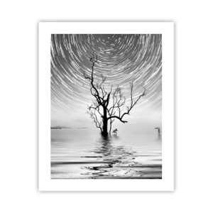 Pôster - Sinfonia da natureza - 40x50 cm