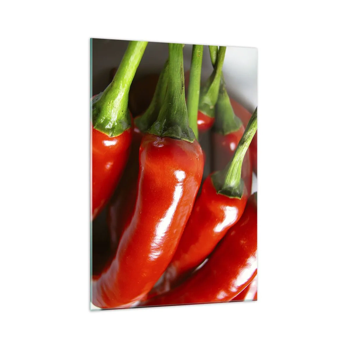 Quadro em vidro - Suculento, brilhante, liso - 70x100 cm