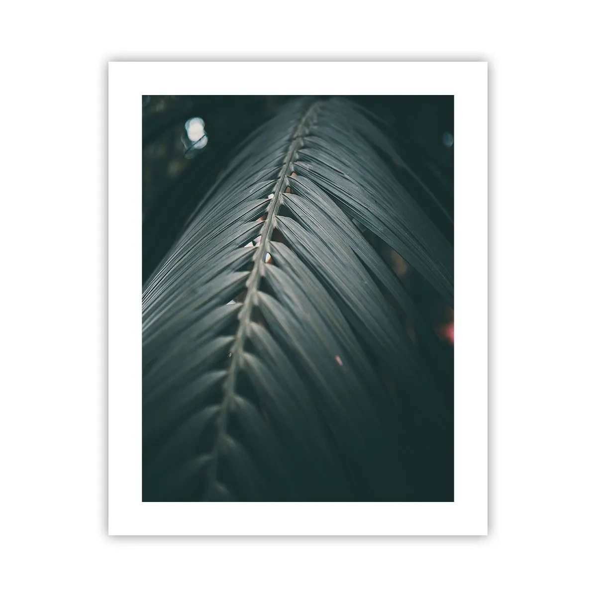 Pôster - A precisão da natureza - 40x50 cm