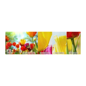 Amostra de papel de parede Premium Canvas - Todas as cores do sol - Tulipas, Flores, Prado - 100x30 cm