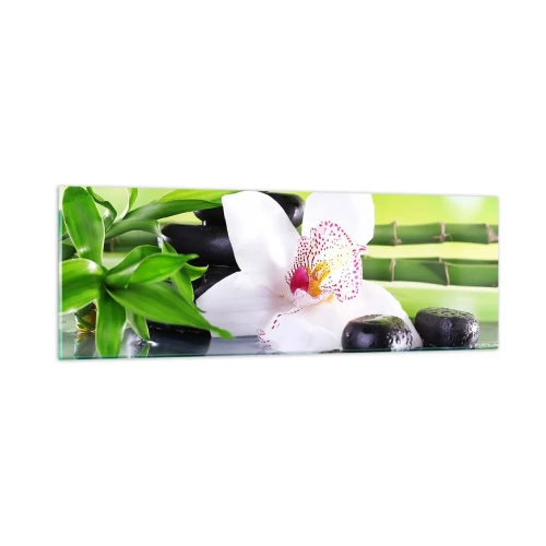 Quadro em vidro - Frescor e vigor - 90x30 cm