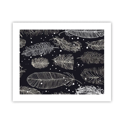 Pôster - Rendas de penas - 50x40 cm