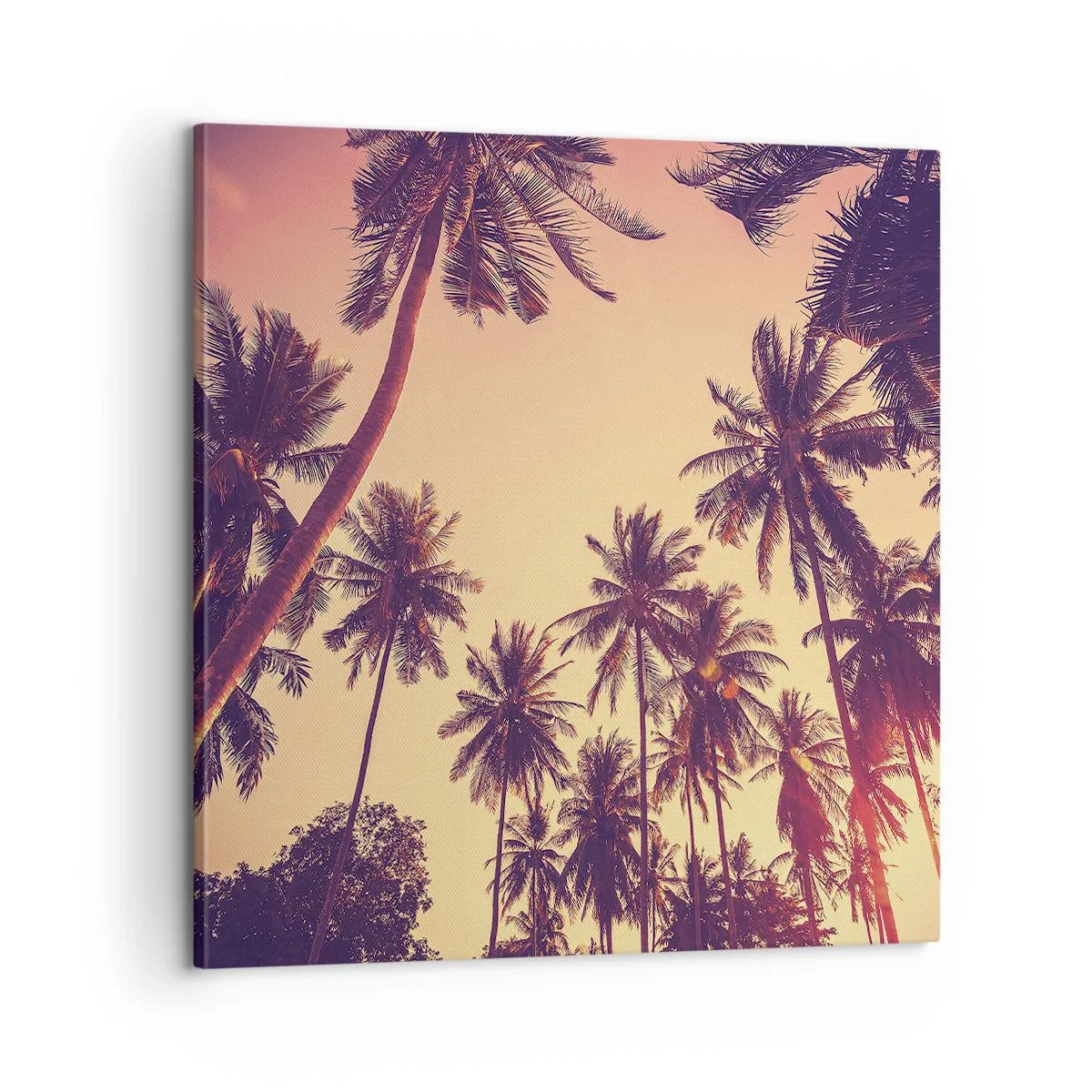 Quadro em tela - Variação tropical - 60x60 cm