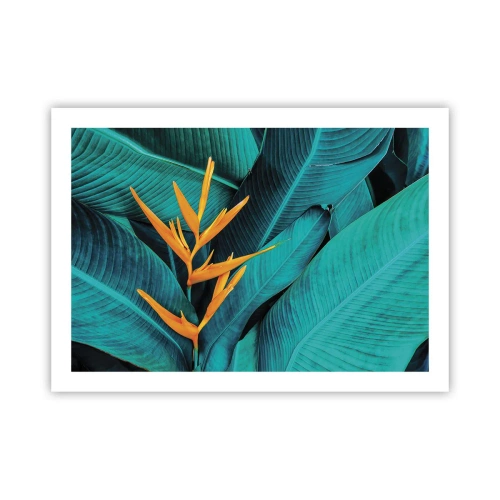 Pôster - Flor do Éden - 70x50 cm