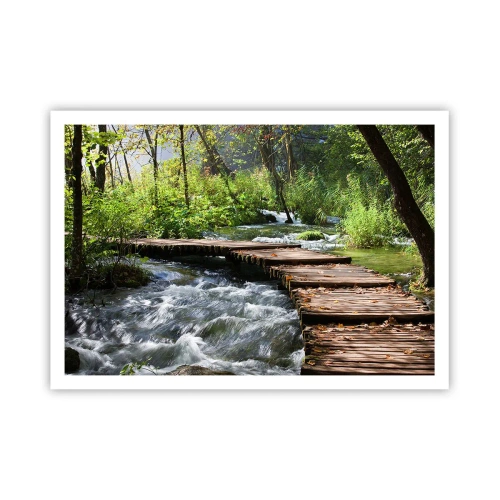 Pôster - Sobre a cascata espumosa - 100x70 cm