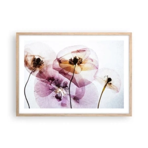 Pôster com moldura de carvalho claro - A transparência das flores - 70x50 cm