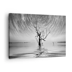 Quadro em tela - Uma árvore na água sob um céu noturno com estrelas em movimento - 70x50cm - Sinfonia da natureza - Decoração de parede moderna para a sala de estar e quarto ARTTOR