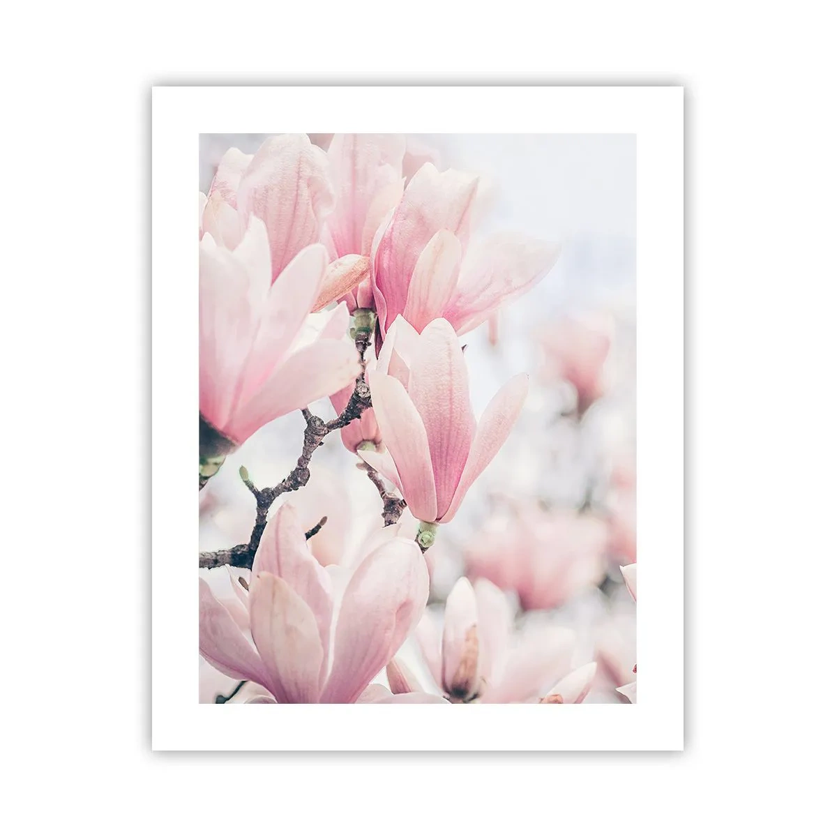 Pôster - O ideal da subtileza - 40x50 cm