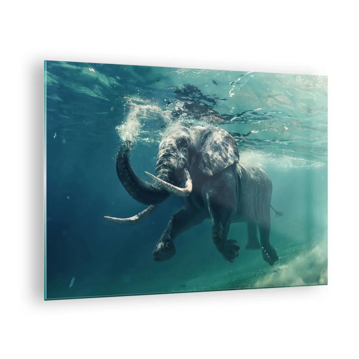 Quadro em vidro - Um elefante nadando debaixo d'água no oceano azul - 70x50cm - Todo mundo gosta de nadar - Decoração de parede moderna para a sala de estar e quarto ARTTOR