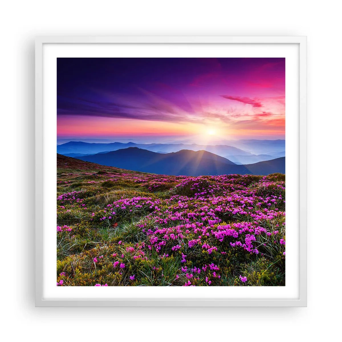 Pôster em moldura branca - Campo cheiroso - 60x60 cm