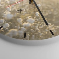 Mostrador com traços