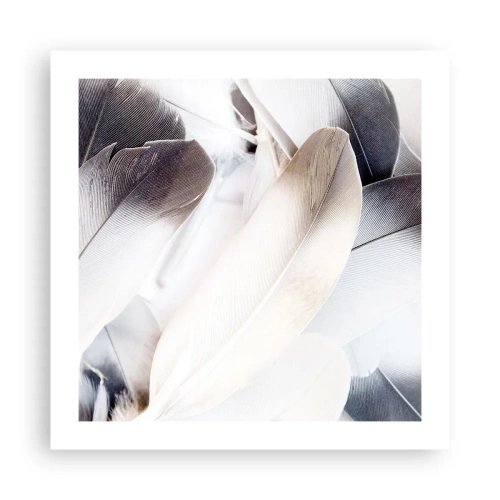 Pôster - Semi-angelical - 50x50 cm