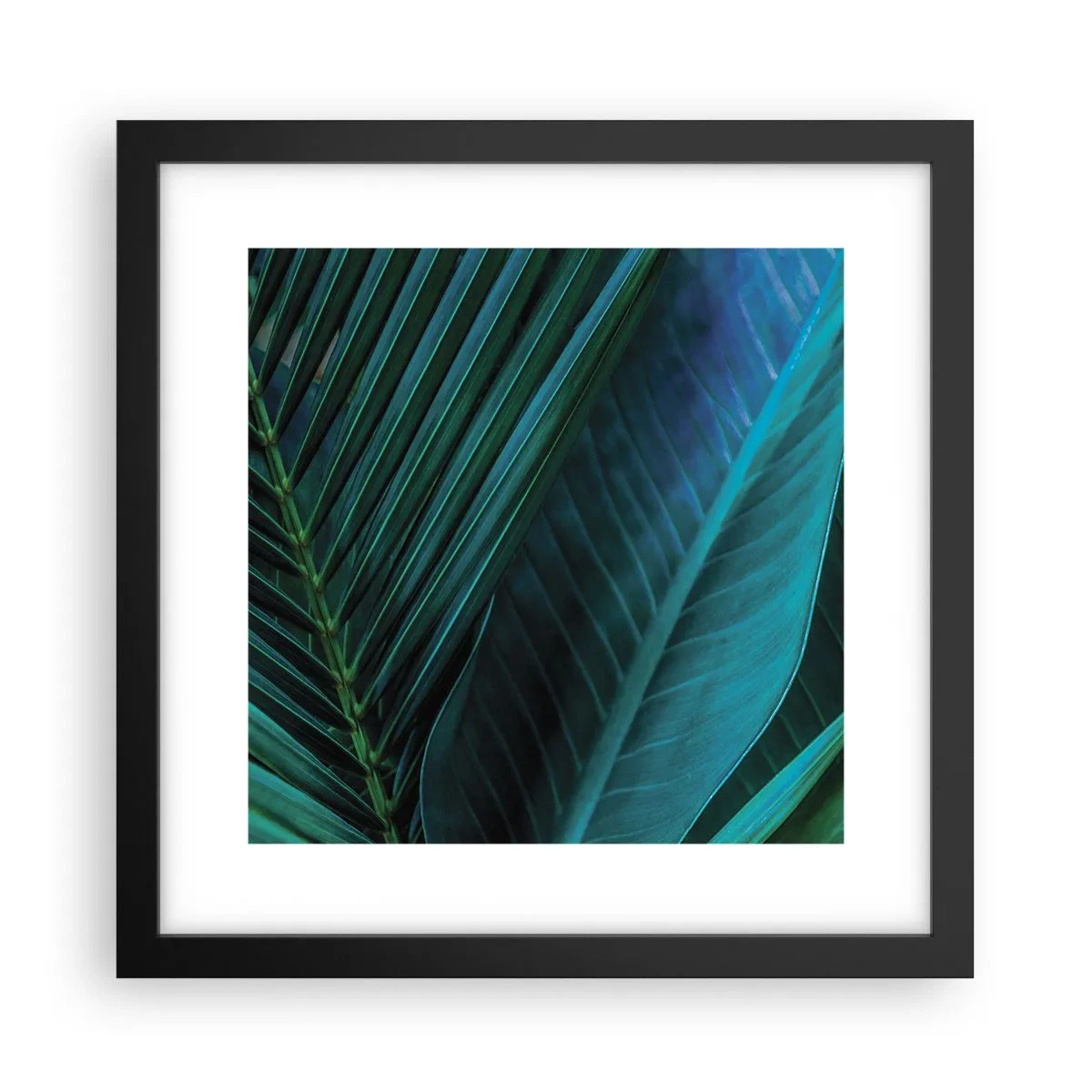 Pôster com moldura preta - Anatomia da vegetação - 30x30 cm