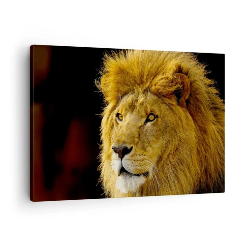 Quadro em tela - Retrato de um leão com uma juba majestosa sobre um fundo escuro - 70x50cm - Retrato do Rei - Decoração de parede moderna para a sala de estar e quarto ARTTOR