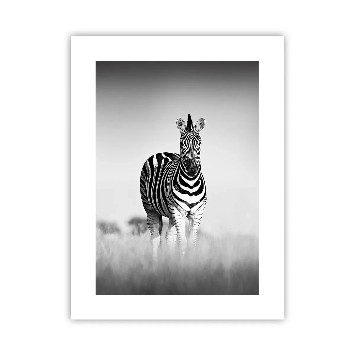 Pôster - De fato, o mundo é a preto e branco - 30x40 cm