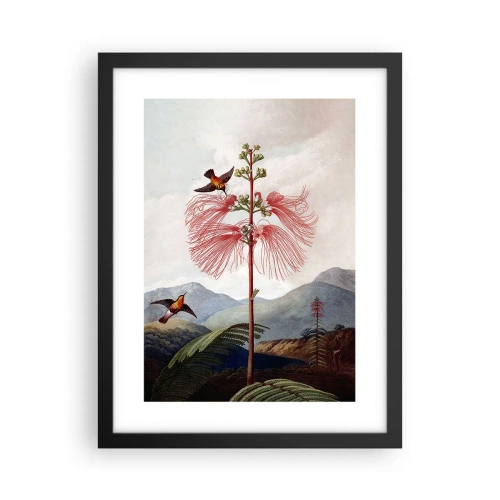 Pôster com moldura preta - Em um paraíso tropical - 30x40 cm