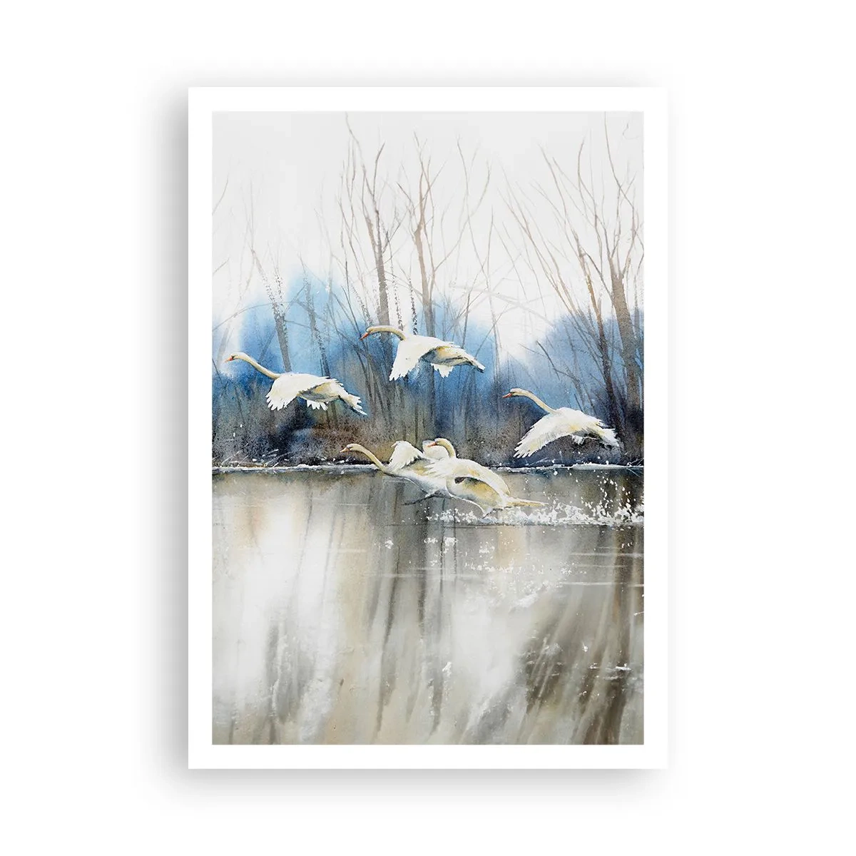 Pôster - Como no conto de fadas sobre cisnes selvagens - 70x100 cm