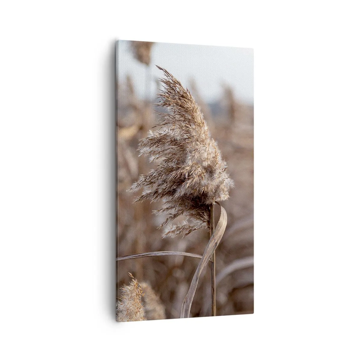 Quadro em tela - É hora de voar com o vento - 55x100 cm